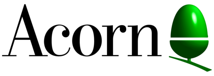 Acorn A3020